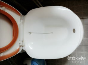 改善衛(wèi)生間的創(chuàng)意選擇 馬桶專用洗浴盆使用評(píng)測
